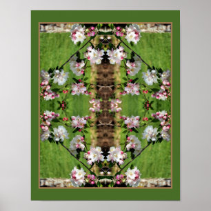 Affiche Flores rose et blanche printanière Abstraites