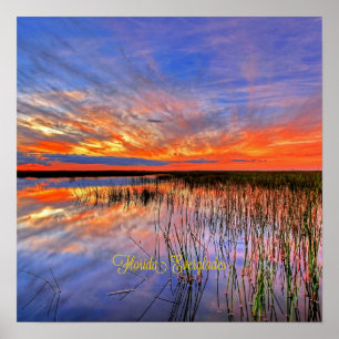 Affiche Florida Everglades, panorama pittoresque,