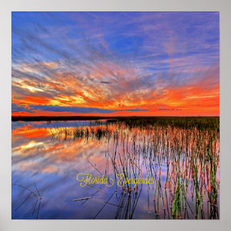 Affiche Florida Everglades, scenic panorama,