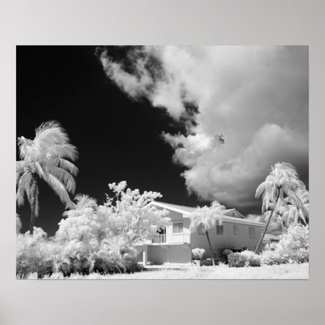 Affiche Florida Keys house et ses palmiers, USA. (Devant)