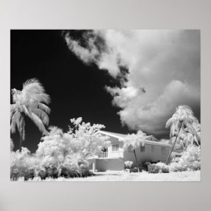 Affiche Florida Keys maison et ses palmiers, États-Unis.