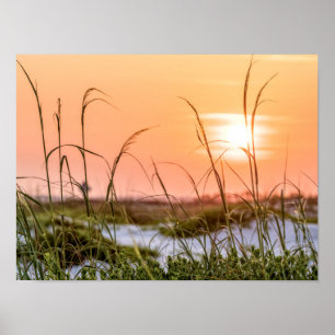 Affiche Florida Sea Oats Sunrise