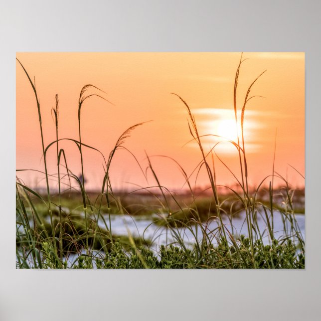 Affiche Florida Sea Oats Sunrise (Devant)