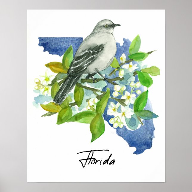 Affiche Florida State Shape Orange Blossom Mockingbird (Devant)