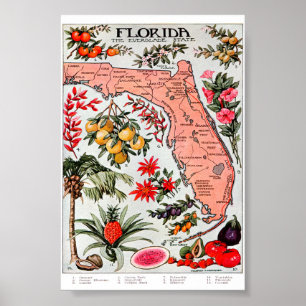 Affiche Floride - Carte de l'État des Everglade
