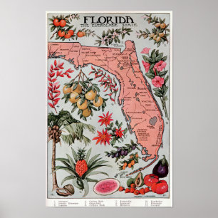 Affiche Floride L'État des Everglades ,Affiche de voyage