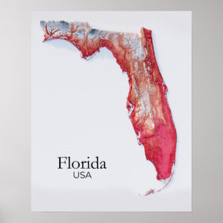 Affiche Floride Plan de secours Texture rouge