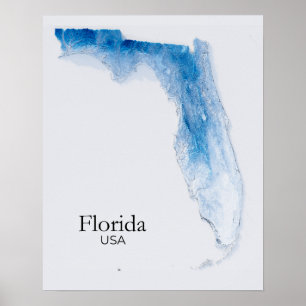 Affiche Floride Relief Map Bleu Texture