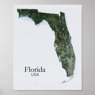 Affiche Floride Relief Map Nature Texture