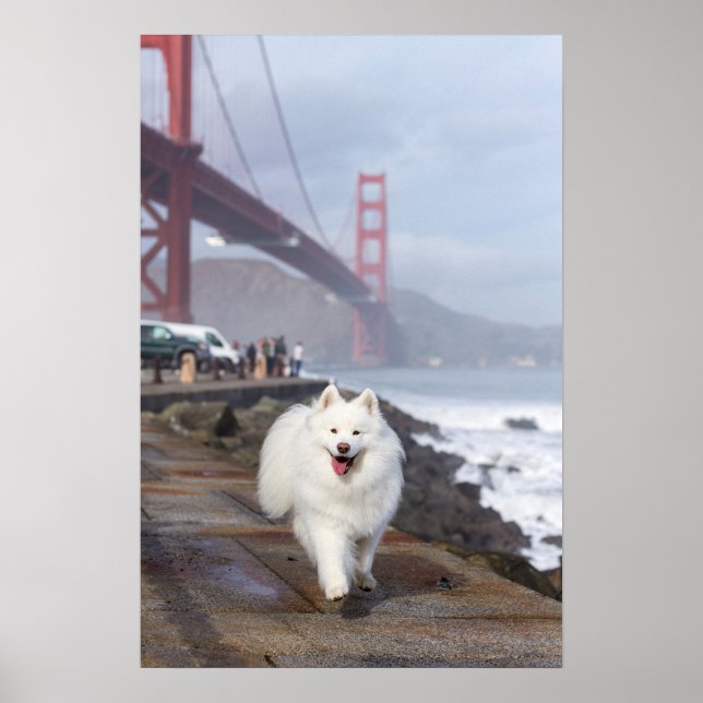Affiche Flottant par Golden Gate Bridge (Devant)