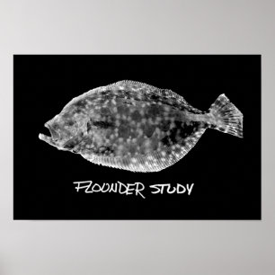 Affiche Flounder Study print "TRÈS POPULAIRE"