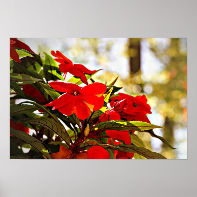 Affiche Flower (Devant)