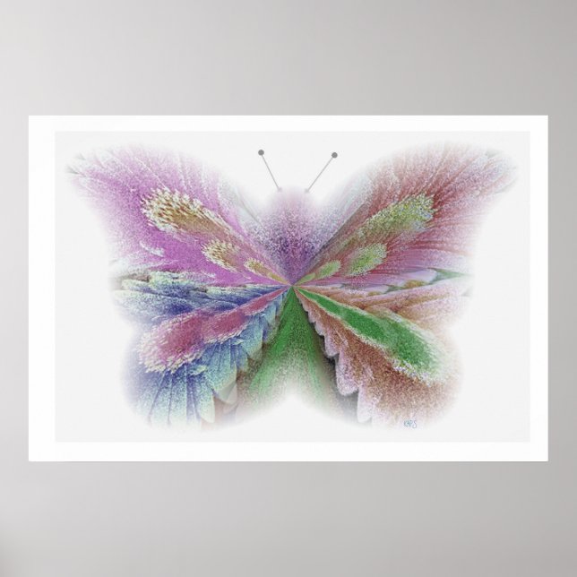 Affiche Flower Butterfly (Devant)