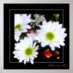 Affiche Flower power