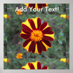 Affiche Flower rouge jaune