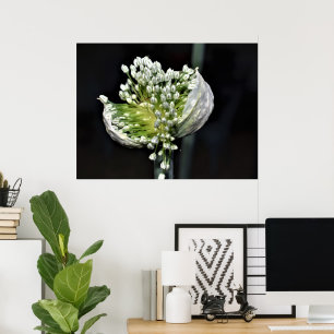 Affiche Flowering Spring Onion