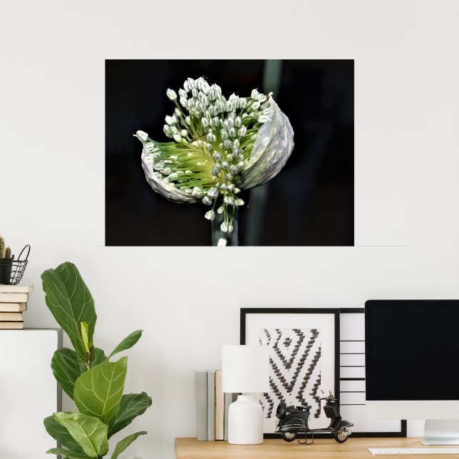 Affiche Flowering Spring Onion (Bureau à domicile)