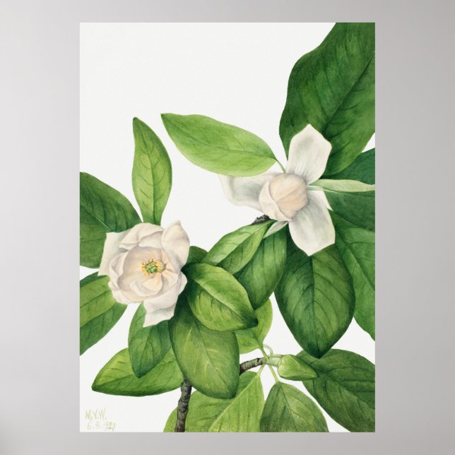 Affiche Flowers 3 (Devant)