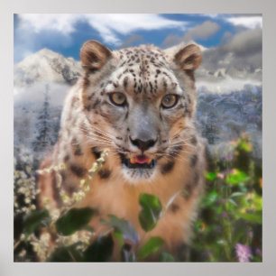 AFFICHE FLOWERS DE SNOW LEOPARD