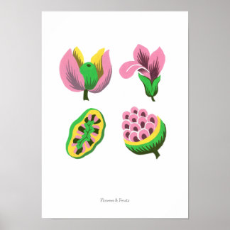 Affiche Flowers & Fruits