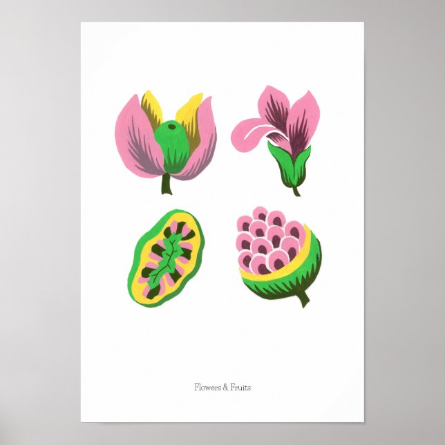 Affiche Flowers & Fruits (Devant)