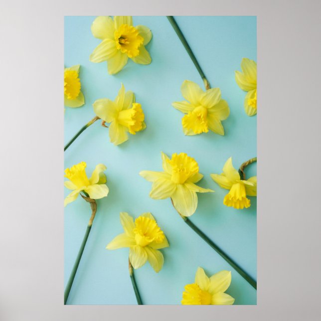 Affiche Flowers (homonymie) | Daffodils (Devant)