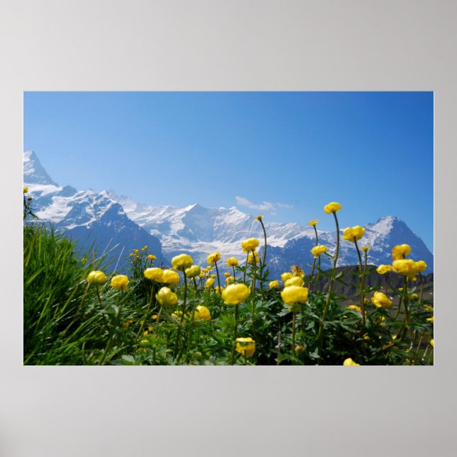 Affiche Flowers (homonymie) | Eiger Monch Swiss Alps (Devant)