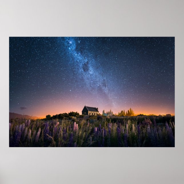 Affiche Flowers (homonymie) | Lupines Blooming Lake Tekapo (Devant)