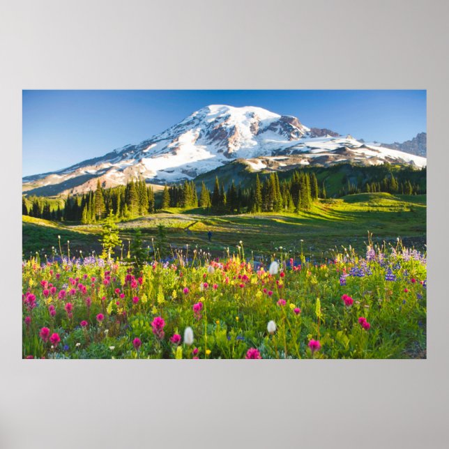 Affiche Flowers | Mt. Rainier Wildflowers (Devant)
