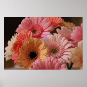 AFFICHE FLOWERS PINK ET YELLOW DANS UN PHOTOGRAPHE DE CLOS