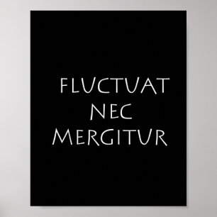 Affiche Fluctuat nec mergitur