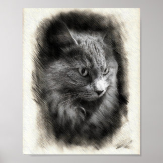 Affiche Fluffy Gray Cat Sketch - Soft Feline Portrait Art
