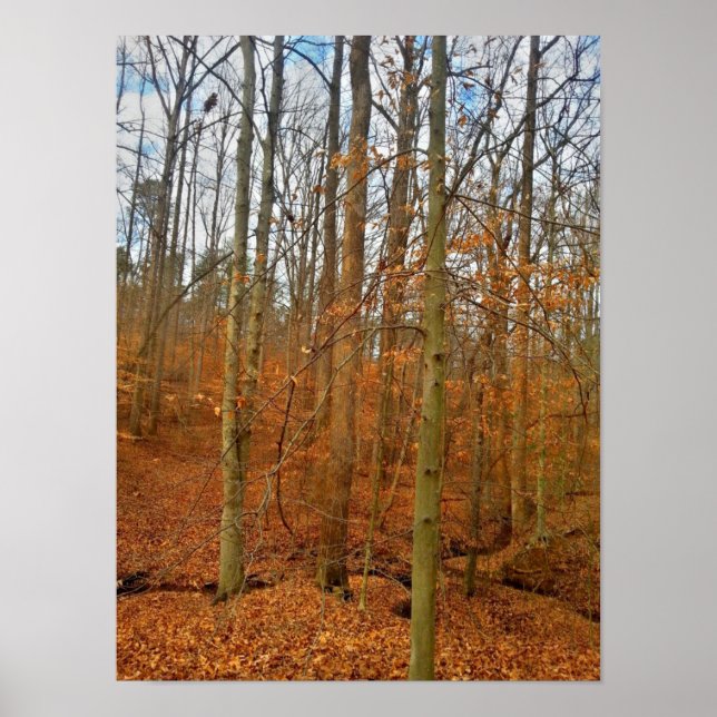 Affiche Flux Automne (Devant)