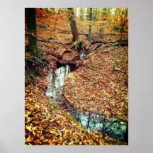 Flux Automne