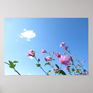 Affiche Flux d'arbre en fleurs
