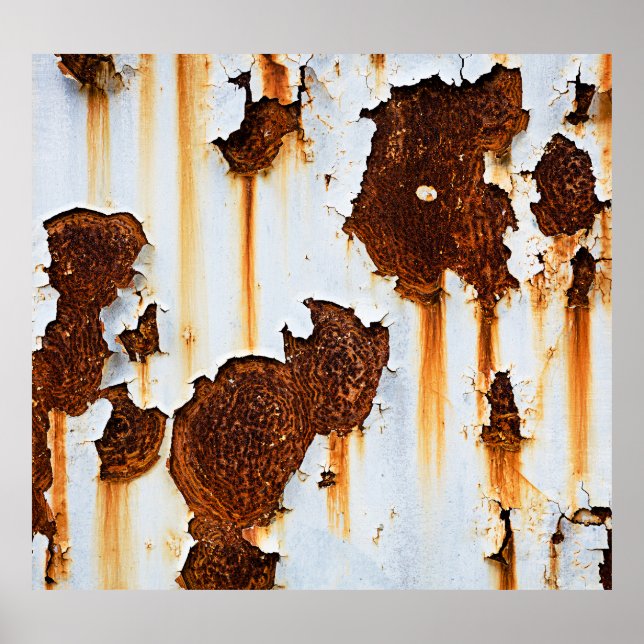 Affiche Flux de rouille blanche corrompu (Devant)
