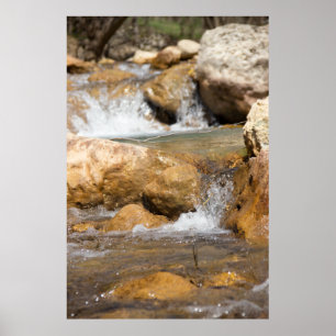 Affiche Flux orageux au printemps