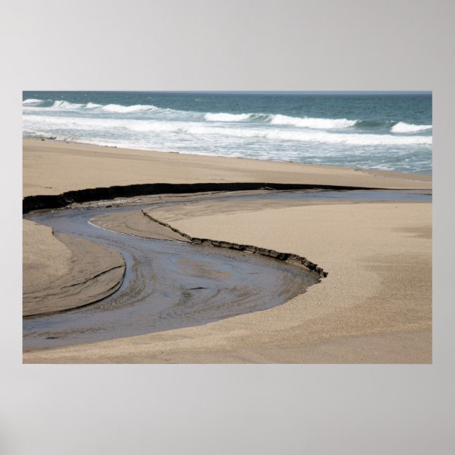 Affiche Flux - Plage de Scott Creek (Devant)