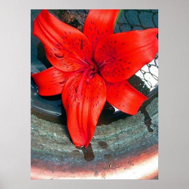 Affiche Flux Saturne (Devant)