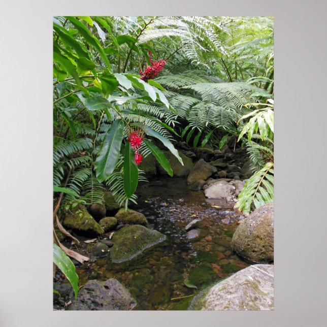 Affiche Flux tropical hawaïen (Devant)