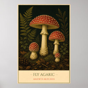 Affiche Fly Agaric