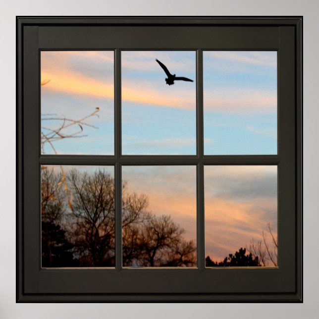 Affiche Flying Bird Faux Window Illusion 24x24 Noir (Devant)
