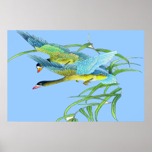 Affiche Flying Ducks Dessin 2