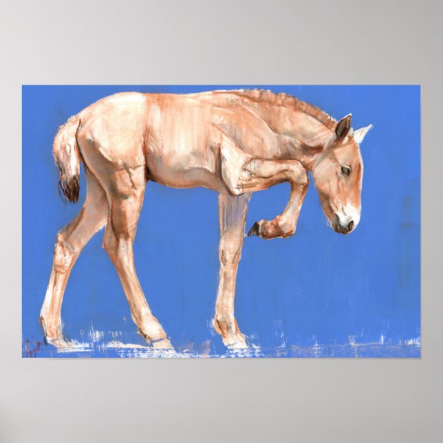 Affiche Foal de Przewalski 2012 (Devant)