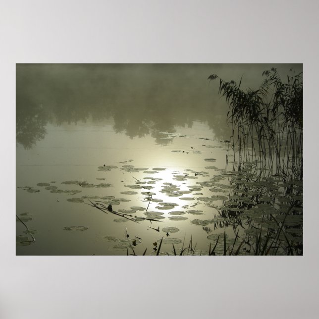 Affiche Foggy jour au-dessus du lac (Devant)
