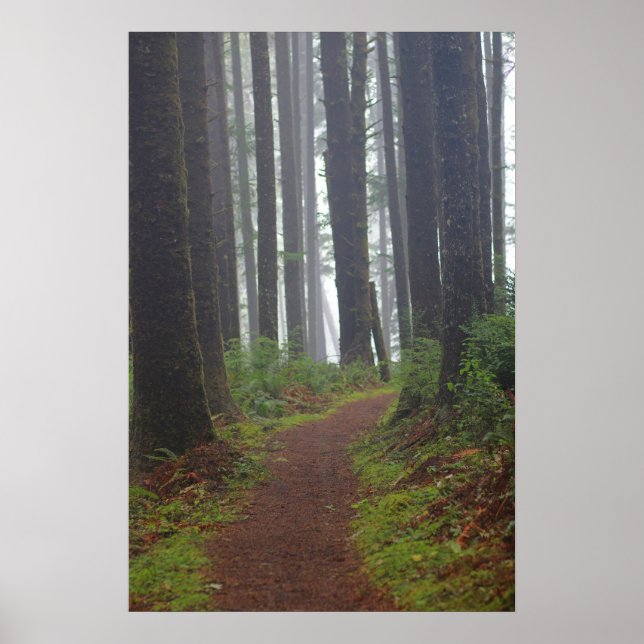 Affiche Foggy morning, (Semi-Gloss) (Devant)