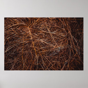Affiche foin Brown