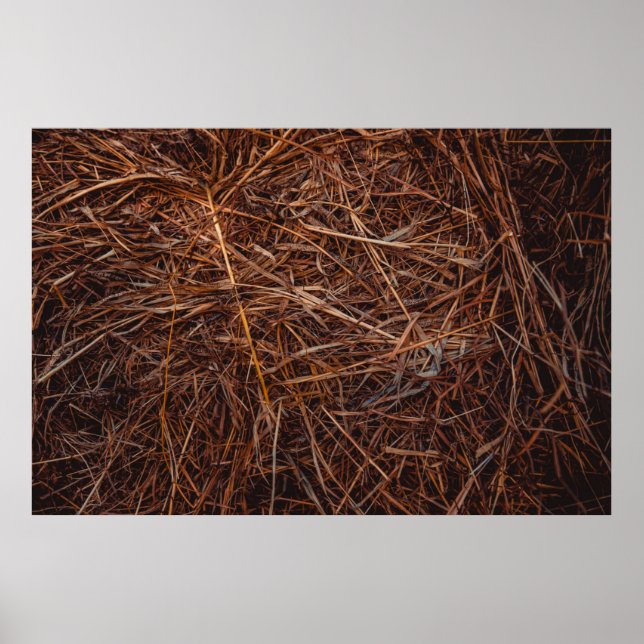 Affiche foin Brown (Devant)