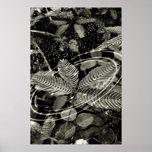 Affiche Folhas - Green (Devant)