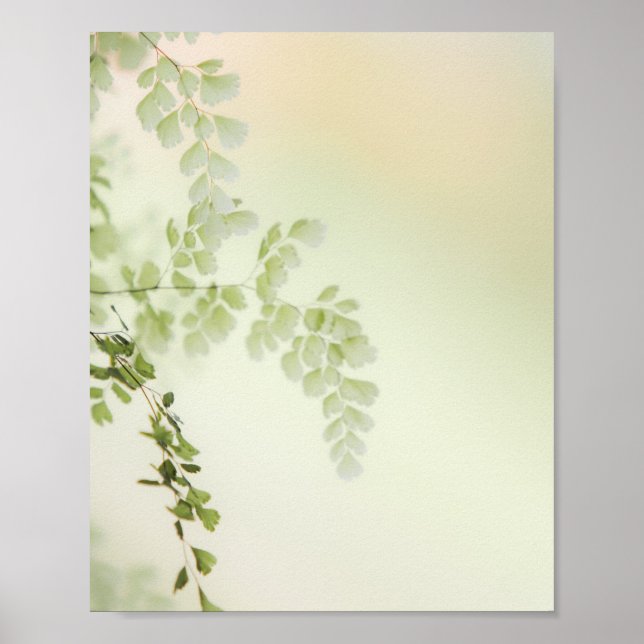 Affiche Foliage de printemps (Devant)